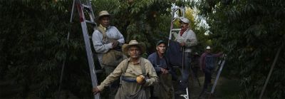 Objetivos sostenibles